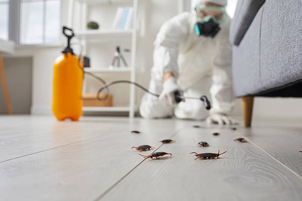 Commercial Kitchen Cockroach Control in Pelzer